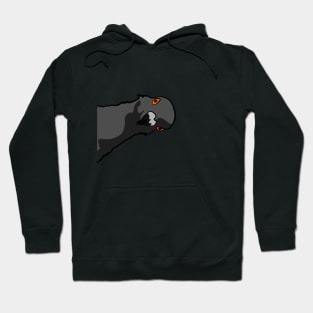 Pigeon Hoodie